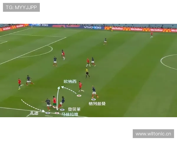 恩佐·费尔南德斯：亿元身价是否合理？关键数据与比赛影响解析