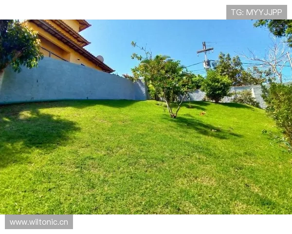 恩佐·费尔南德斯随手拍的门廊比我整套房还讲究，心态崩了