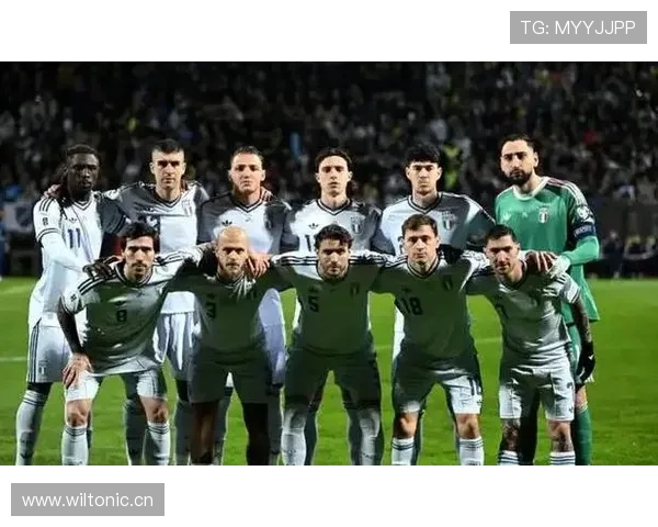 波黑冲击2026世界杯:晋级前景与阵容分析 波黑冲击2026世界杯:晋级前景与阵容分析